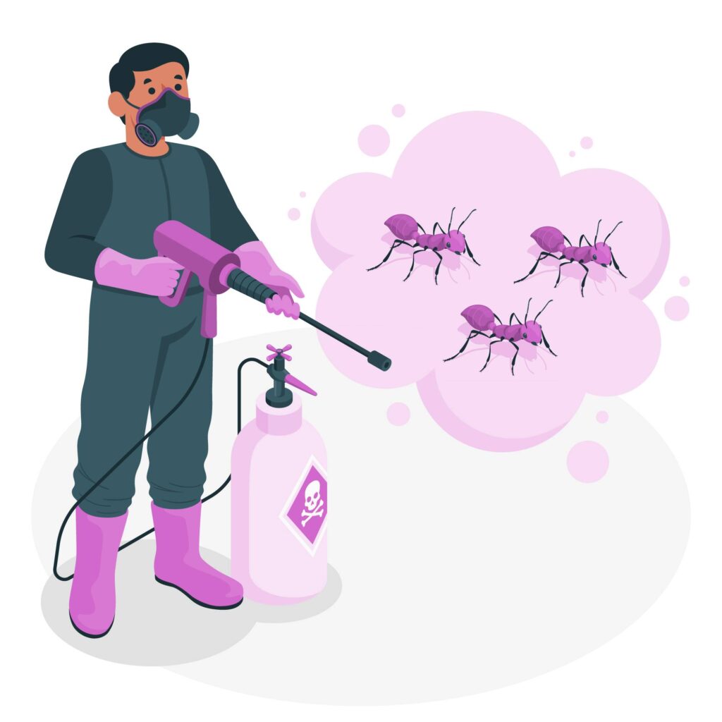 Ant control service