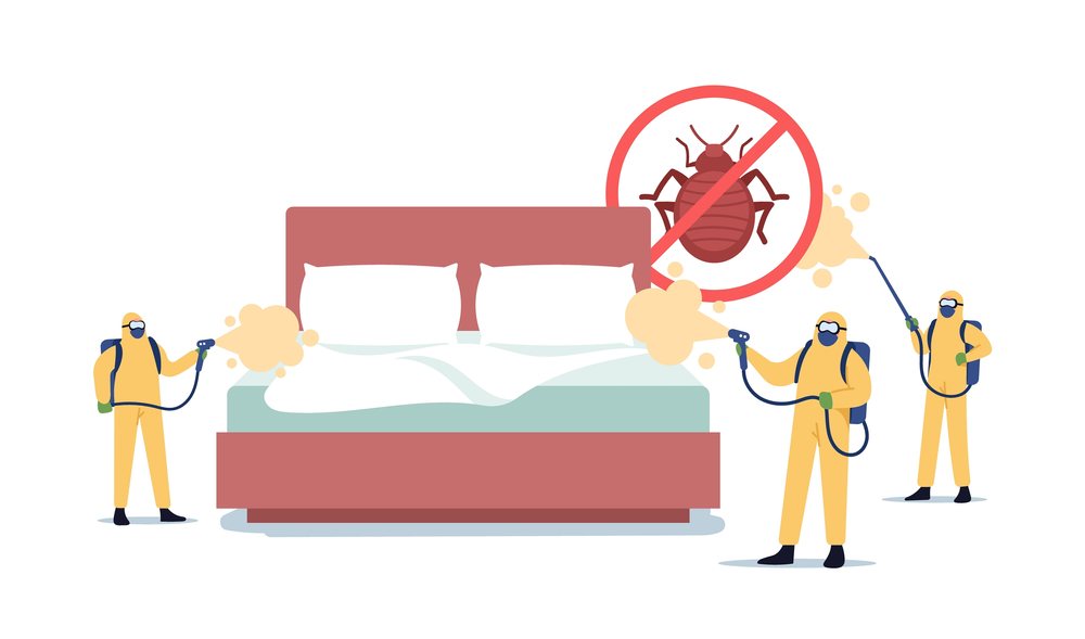 Bed Bugs Removal