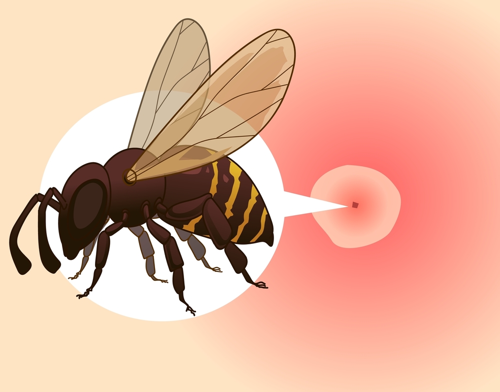 Bee Control Service in Hobart