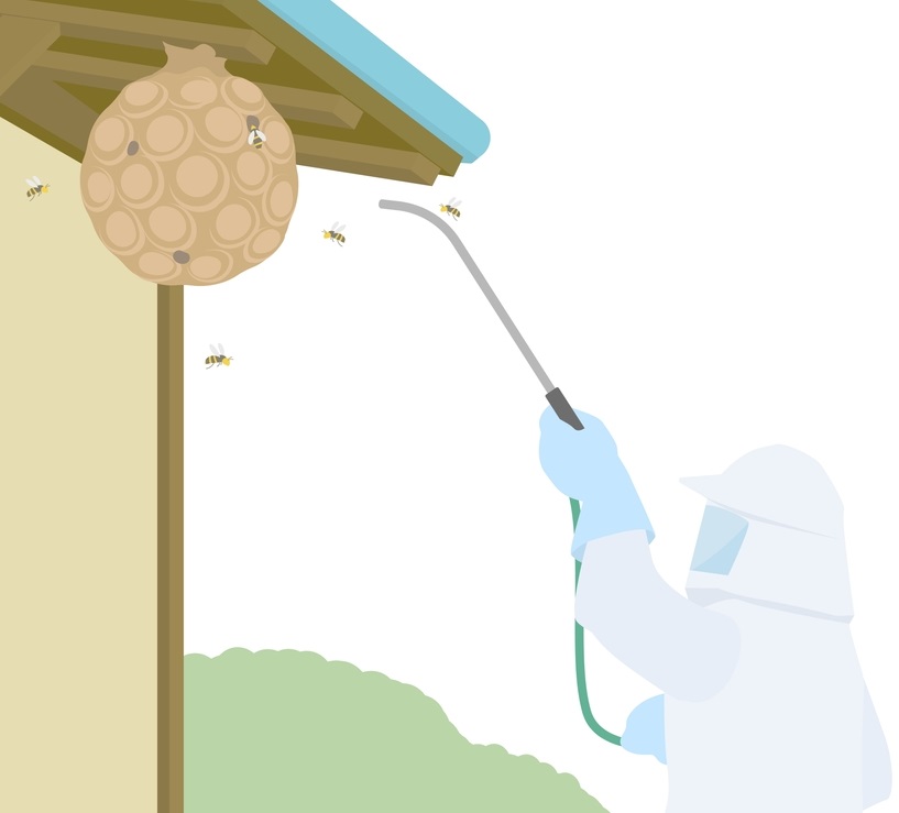 Bee control service
