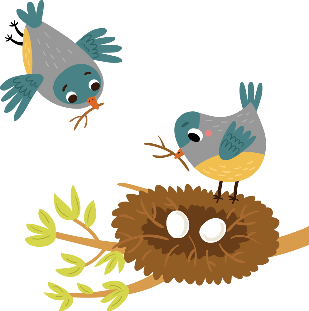 Bird Nest Removal Services